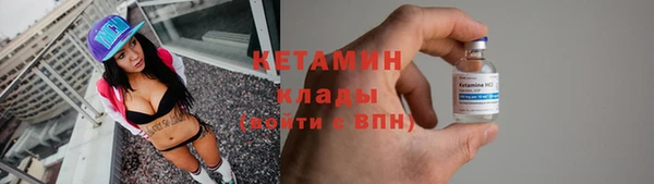 гидра Абаза