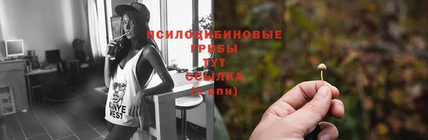 гидра Абаза