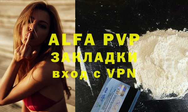 гидра Абаза