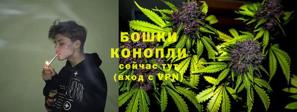гидра Абаза