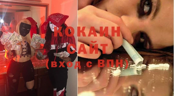 гидра Абаза