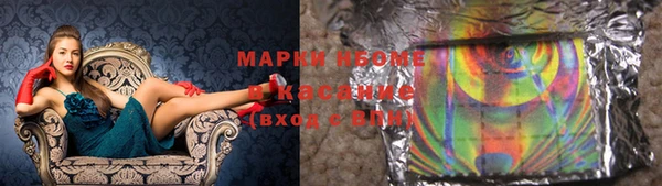 гидра Абаза