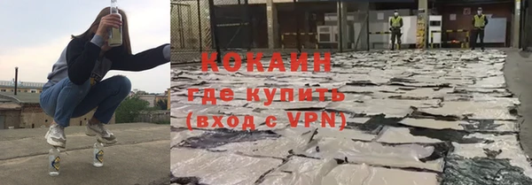 гидра Абаза