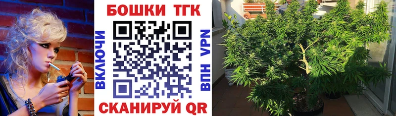 Шишки марихуана THC 21%  Моздок 